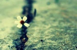 抓女人出轨最好的方法,出轨率最高的3种女人 抓女人出轨最好的方法,出轨率最高的3种女人