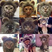 适合晚上对老婆说的情话-几句话甜到她的心里