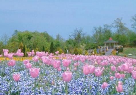 在感情上面为什么我总是处于低势状态呢??(感觉男朋友不爱我了,还要继续吗?) 在感情上面为什么我总是处于低势状态呢??(感觉男朋友不爱我了,还要继续吗?)