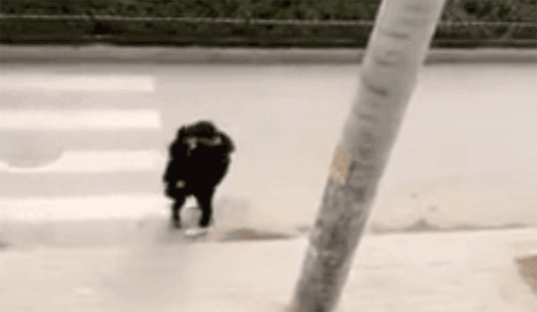 接吻技巧,3分钟就能讲完的接吻教学。 接吻技巧,3分钟就能讲完的接吻教学。