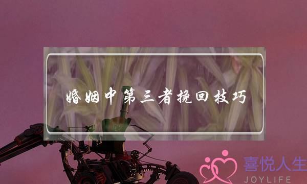 婚姻中第三者挽回技巧