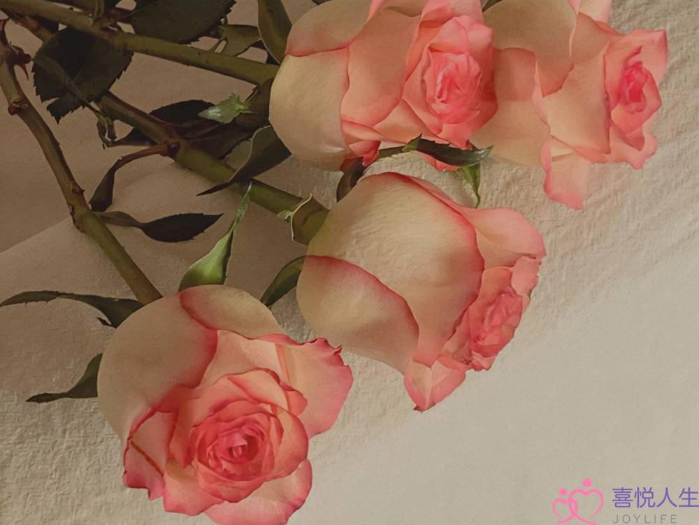 中年男人真心爱上一个人，有这三个举动，装不来