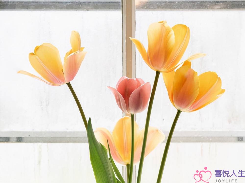 中年男人真心爱上一个人，有这三个举动，装不来