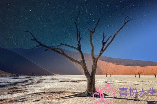 女人失恋(分手后的女孩子如何快速走出失恋) 女人失恋(分手后的女孩子如何快速走出失恋)