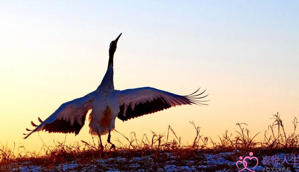 什么时候给女生送礼物(给女生送礼物) 什么时候给女生送礼物(给女生送礼物)