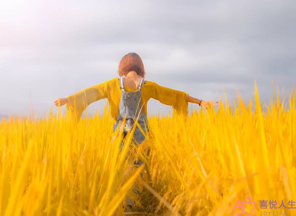 婚姻没感情怎么办(如果你的婚姻里没有爱情了) 婚姻没感情怎么办(如果你的婚姻里没有爱情了)