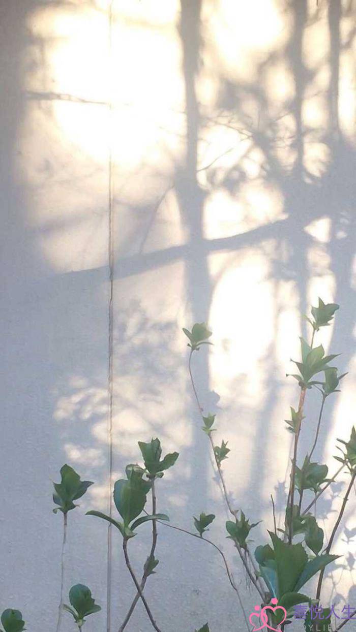 12个字的浪漫句子（30条浪漫到极致的句子）