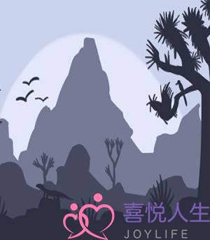 12星座不该与哪个星座相恋(十二星座跟谁最配恋爱)