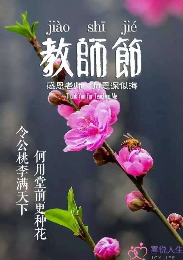 关于教师节的诗句（那些赞美老师的诗句）