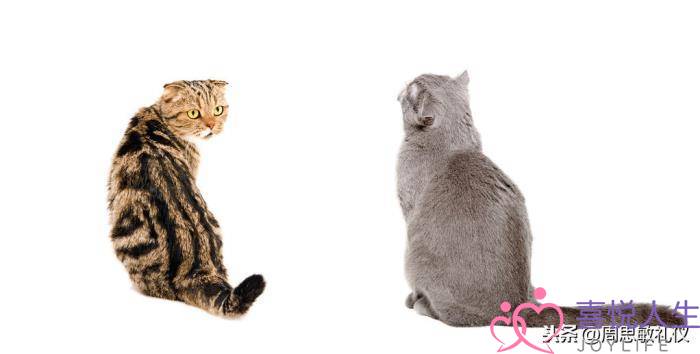 女友无缘无故生气了怎么办,女朋友莫名其妙的生气 女友无缘无故生气了怎么办,女朋友莫名其妙的生气