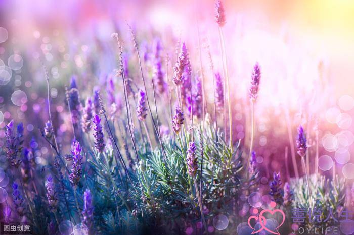 女生分手后特别狠心（女人分手离婚后会有多绝情）