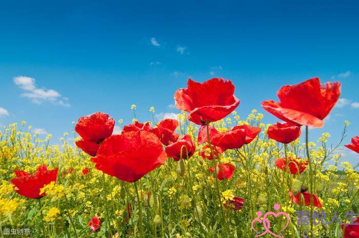 女生分手后特别狠心（女人分手离婚后会有多绝情）