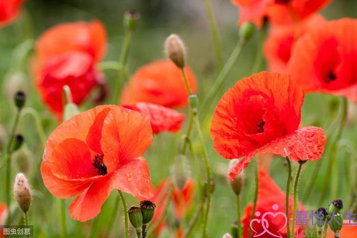 女生分手后特别狠心（女人分手离婚后会有多绝情）