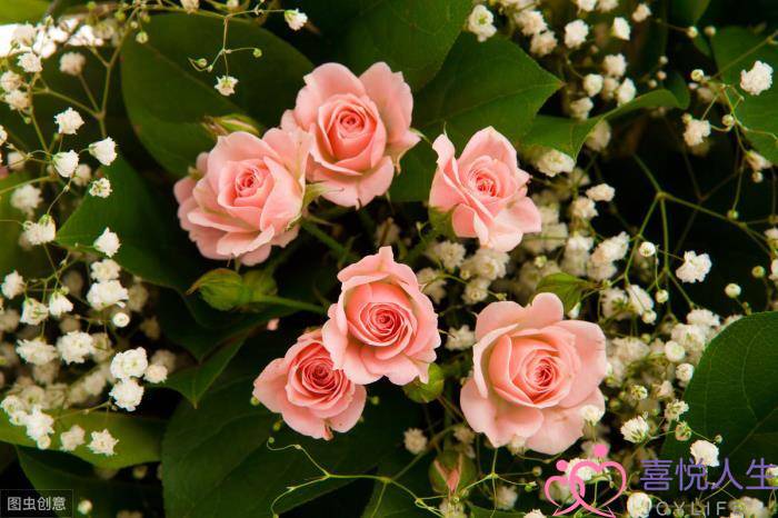 女生分手后特别狠心（女人分手离婚后会有多绝情）