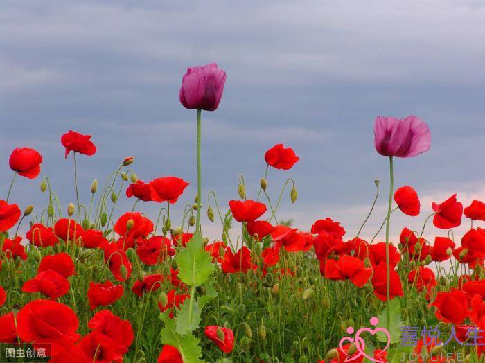 女生分手后特别狠心（女人分手离婚后会有多绝情）
