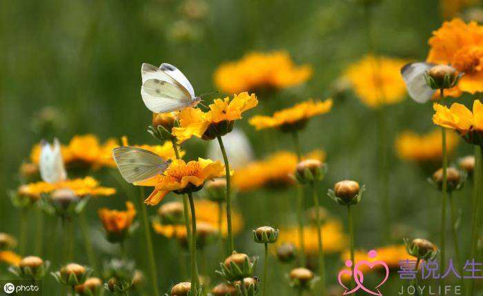 女生分手后特别狠心（女人分手离婚后会有多绝情）