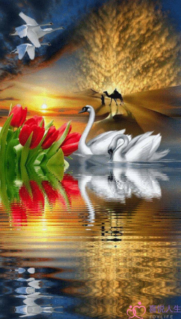 心情好的图片（看了心情大好的图片）