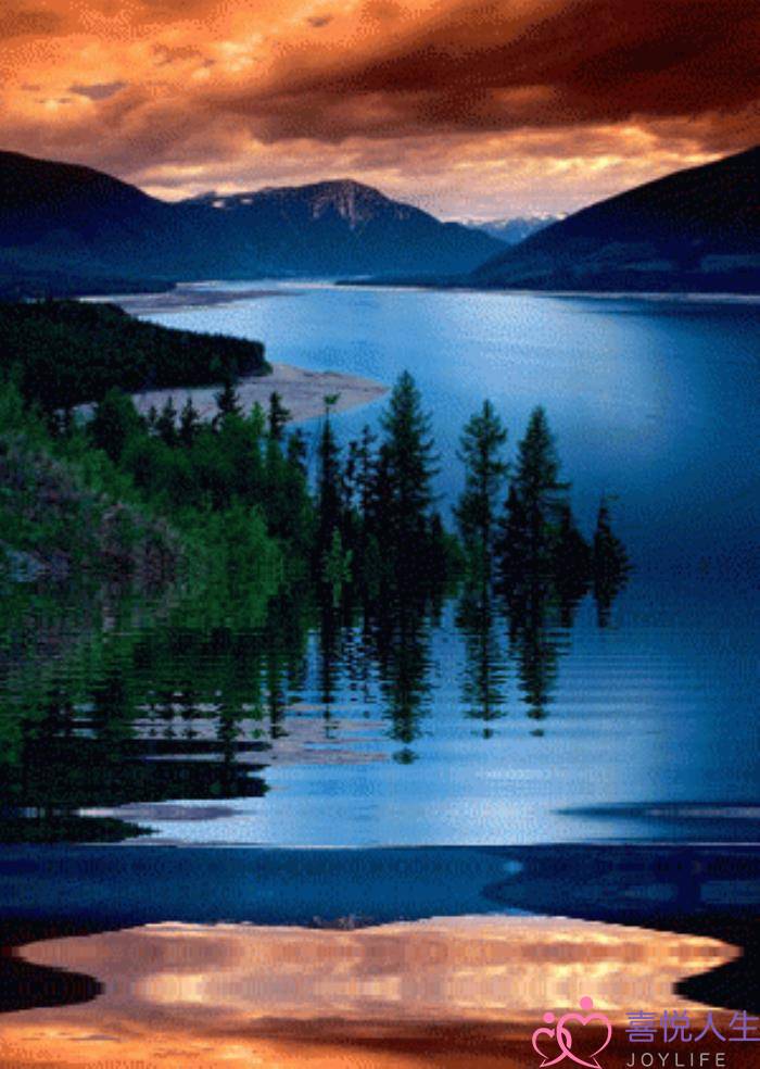 心情好的图片（看了心情大好的图片）