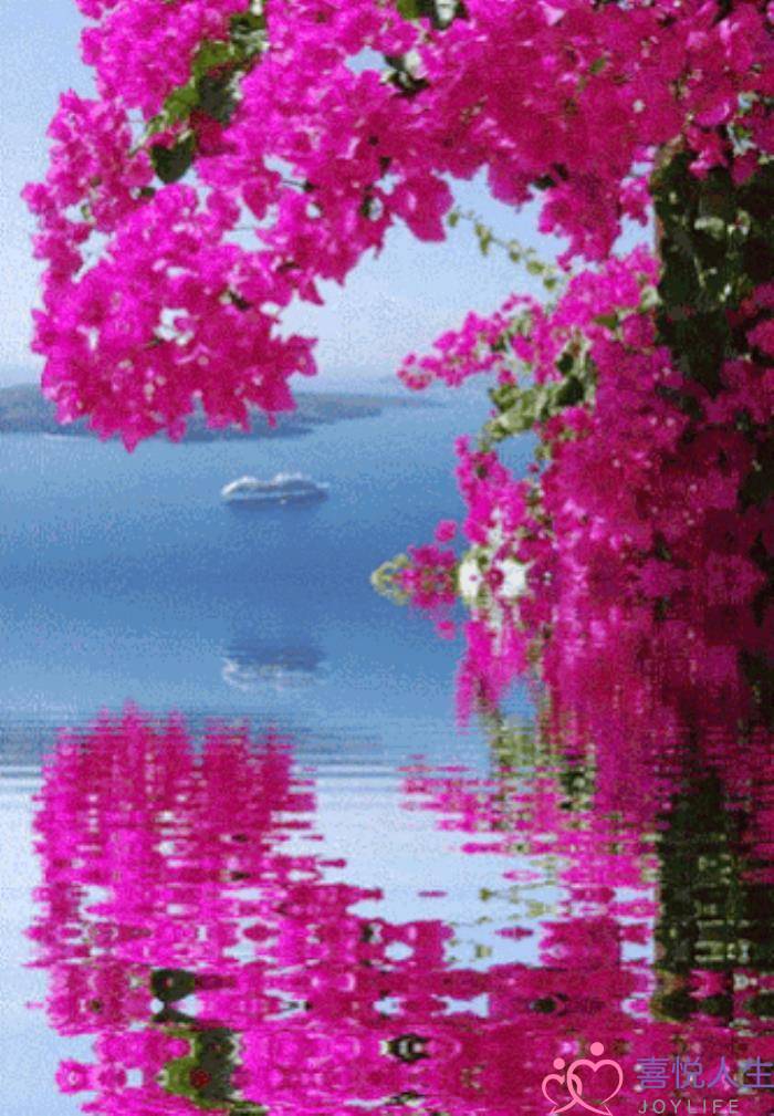 心情好的图片（看了心情大好的图片）