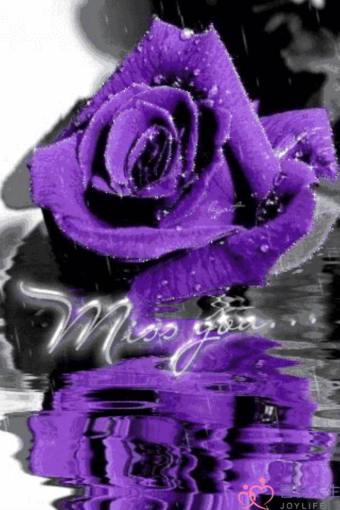 心情好的图片（看了心情大好的图片）