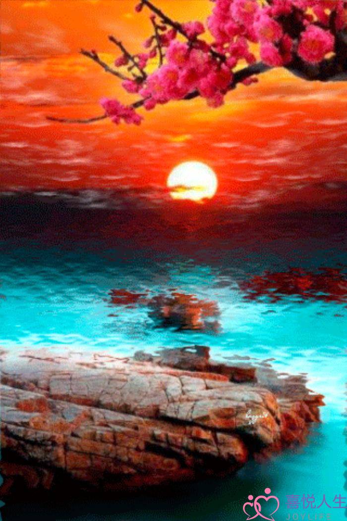 心情好的图片（看了心情大好的图片）