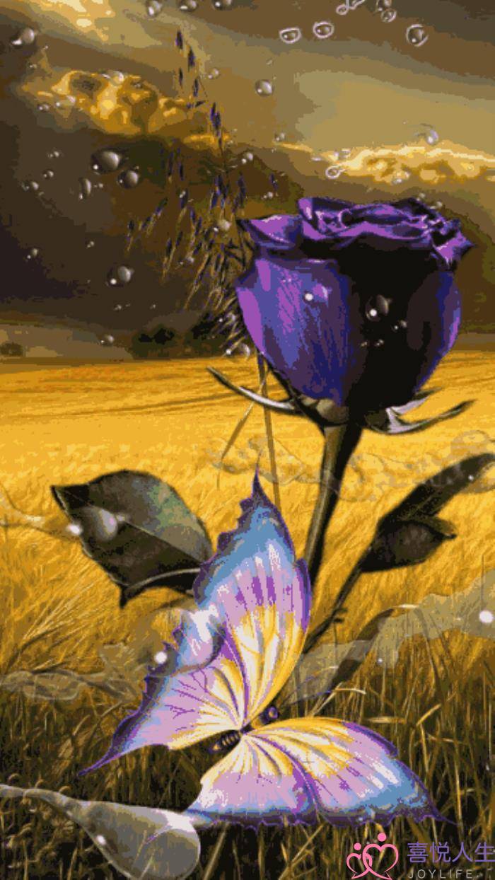 心情好的图片（看了心情大好的图片）