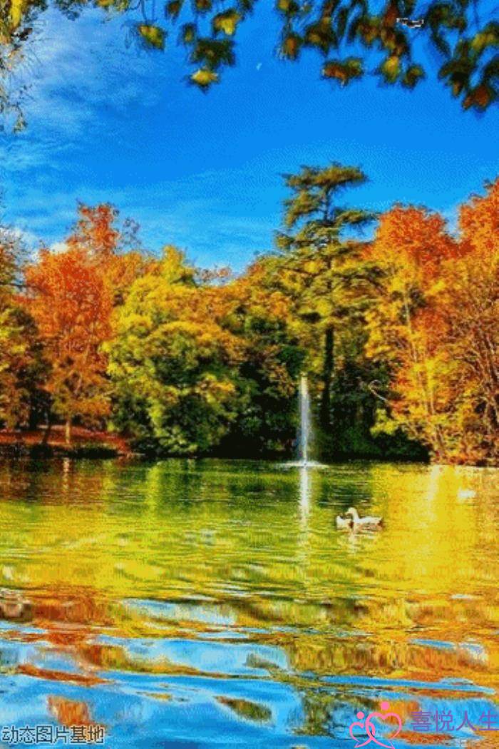 心情好的图片（看了心情大好的图片）