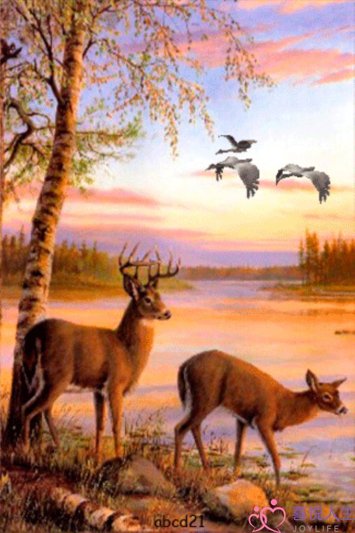 心情好的图片（看了心情大好的图片）