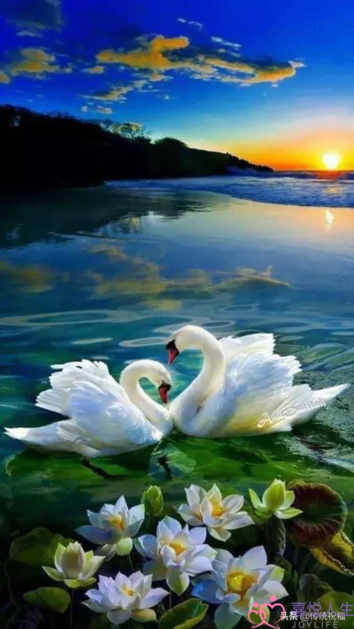 心情好的图片（看了心情大好的图片）