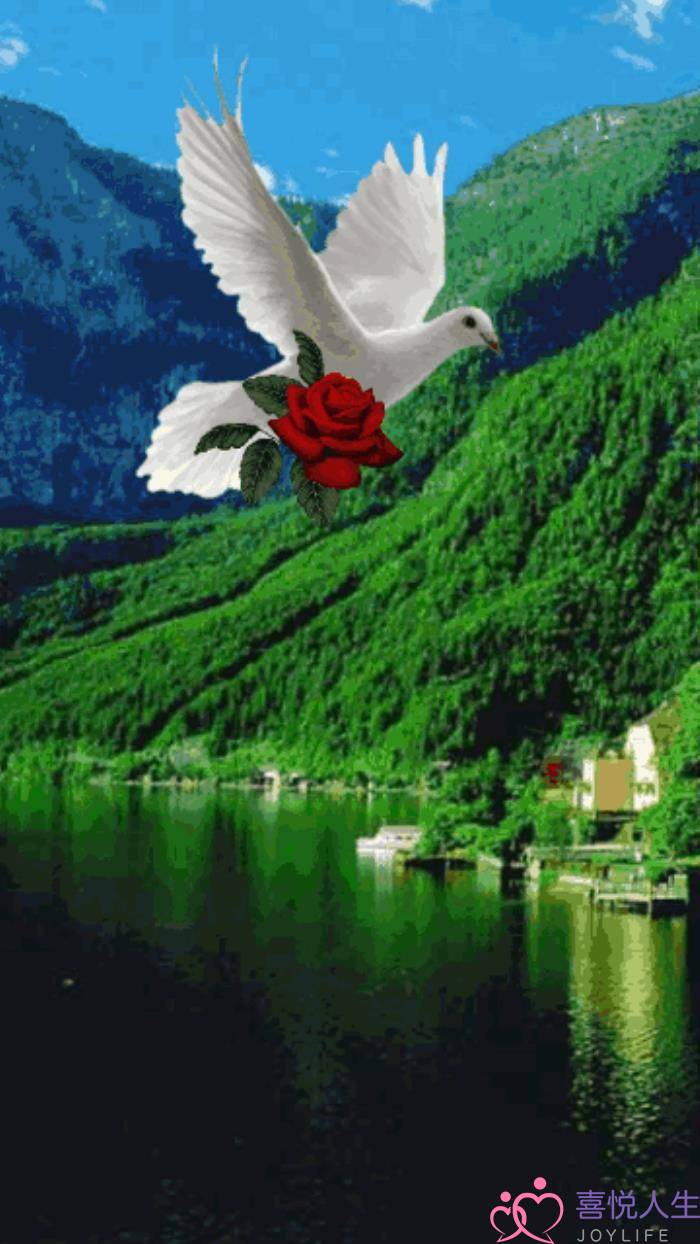 心情好的图片（看了心情大好的图片）