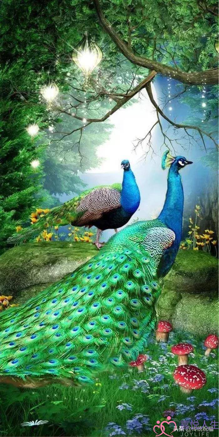 心情好的图片（看了心情大好的图片）