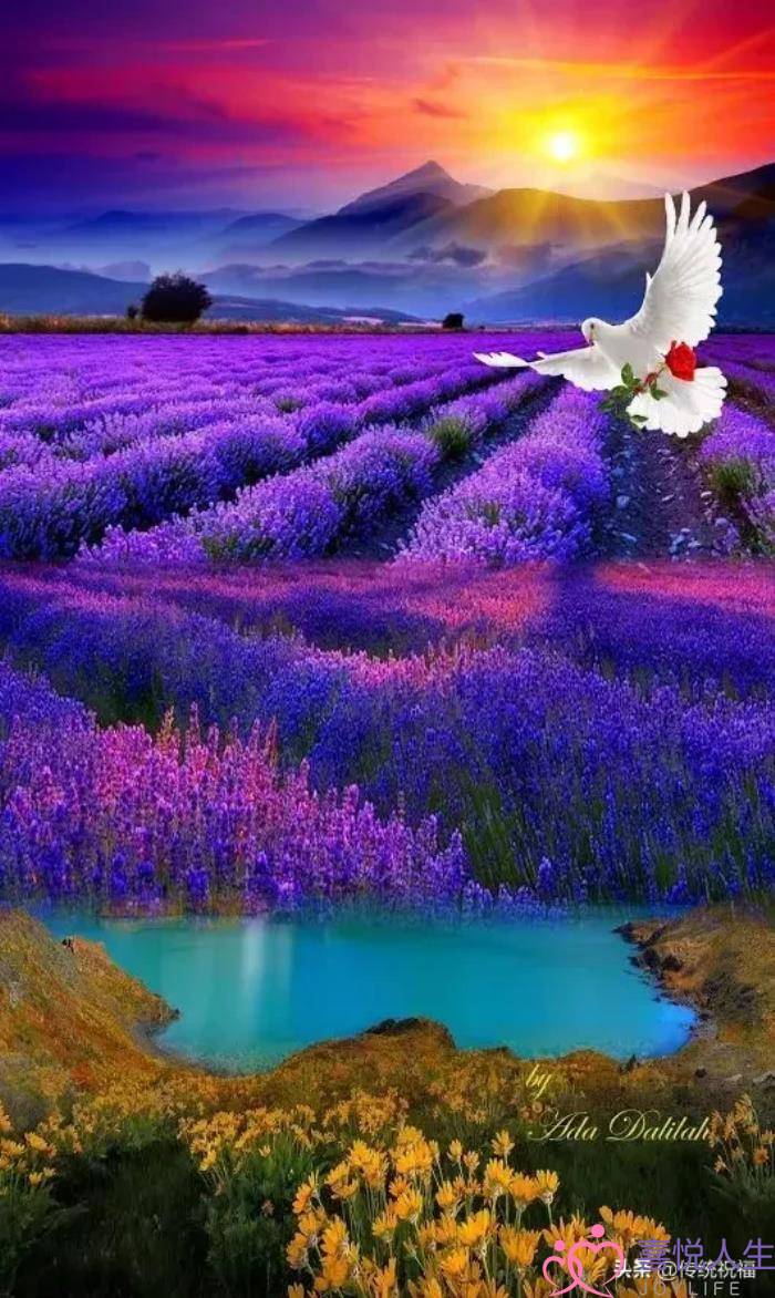 心情好的图片（看了心情大好的图片）