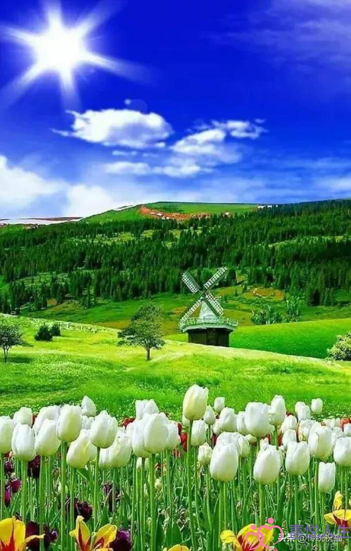 心情好的图片（看了心情大好的图片）