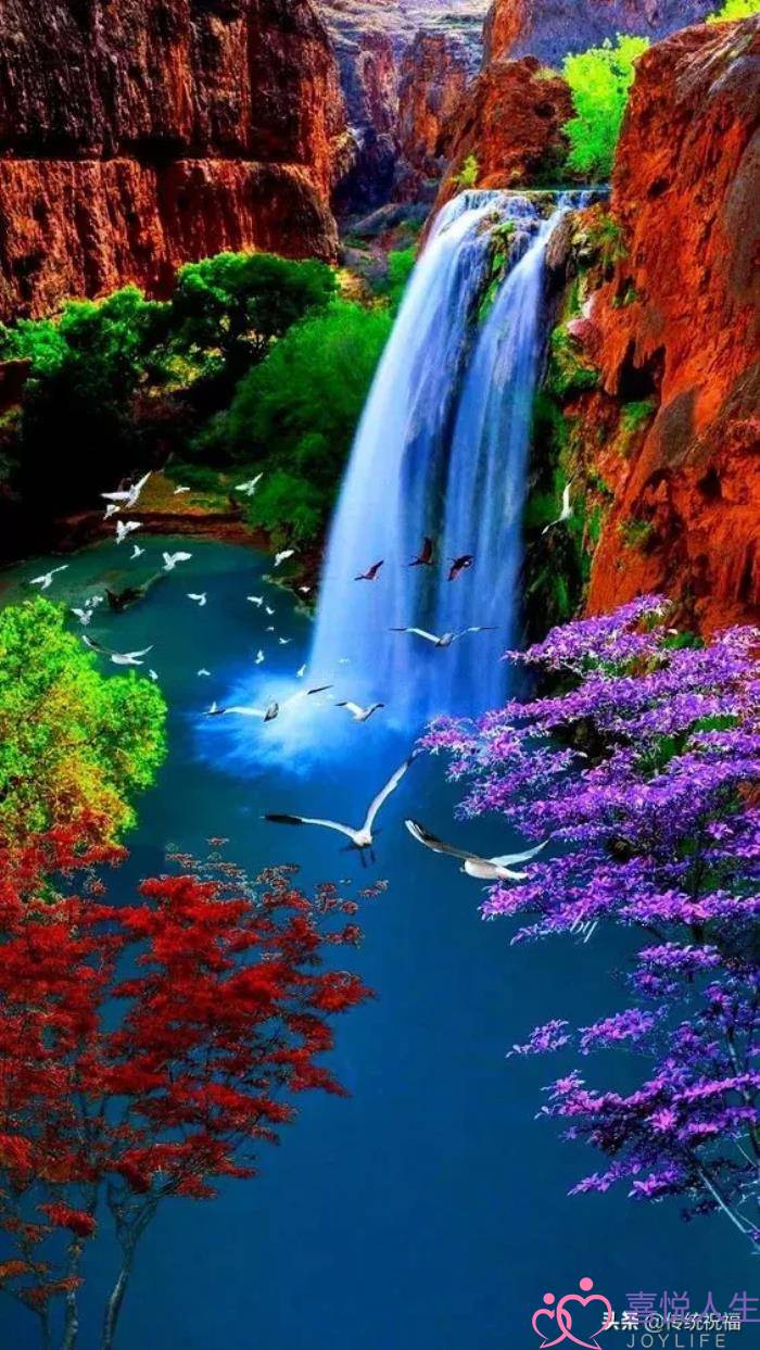 心情好的图片（看了心情大好的图片）