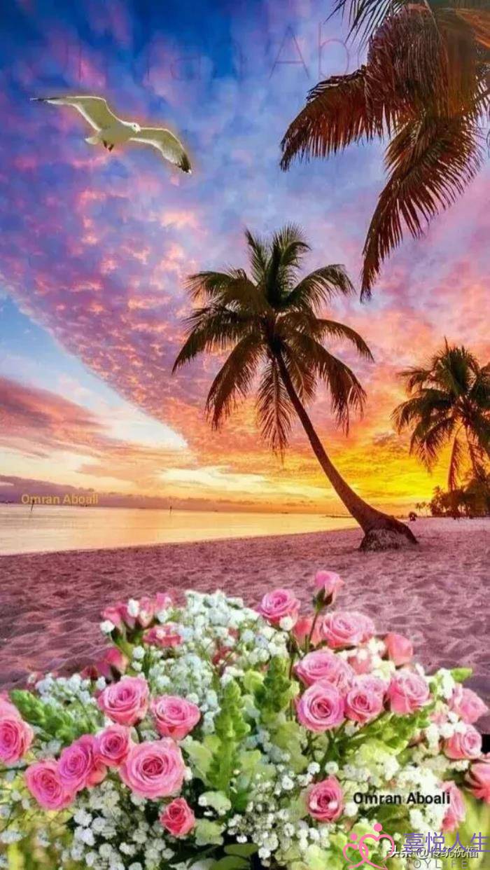 心情好的图片（看了心情大好的图片）