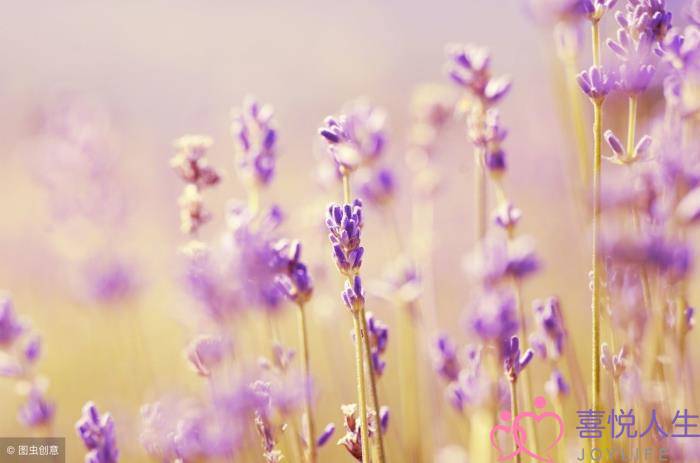 图片[1]-不再流泪的女人，委屈的女人不再流泪-泡学网-喜悦人生,挽回婚姻,分手挽回,经验婚姻,情感挽回,情感咨询,分离小三,泡学书籍