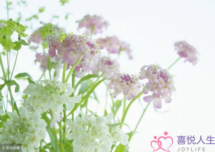 图片[2]-不再流泪的女人，委屈的女人不再流泪-泡学网-喜悦人生,挽回婚姻,分手挽回,经验婚姻,情感挽回,情感咨询,分离小三,泡学书籍