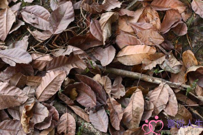 伤感句子句句扎心语录(很现实扎心的伤感句子) 伤感句子句句扎心语录(很现实扎心的伤感句子)