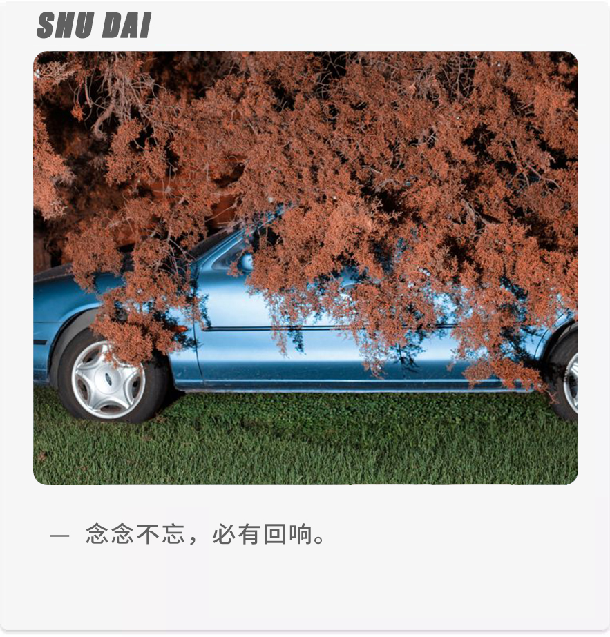 挽回婚姻短信(如何用一则短信完成你们之间的破冰之旅) 挽回婚姻短信(如何用一则短信完成你们之间的破冰之旅)