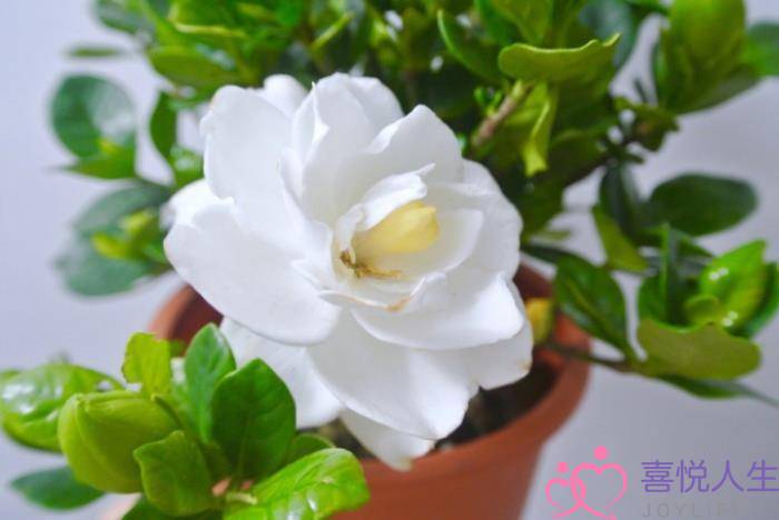 图片[2]-成长感悟的句子（关于人生成长感悟的句子语录）-泡学网-喜悦人生,挽回婚姻,分手挽回,经验婚姻,情感挽回,情感咨询,分离小三,泡学书籍