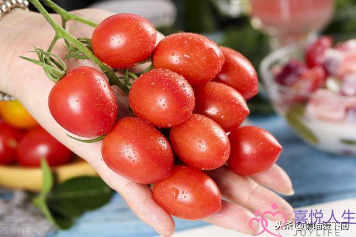 千禧果的禁忌，圣女果和千禧果有啥不同