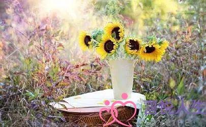 情感挽回分析师签名(挽回爱情金句) 情感挽回分析师签名(挽回爱情金句)