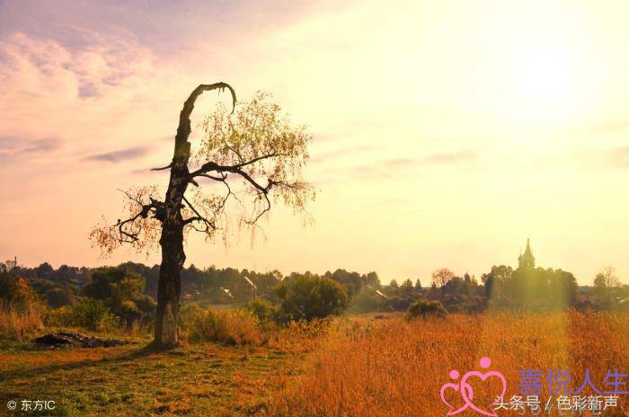 名言名句大全人生哲理（经典人生哲理名言88句）