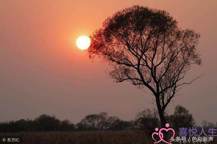 名言名句大全人生哲理（经典人生哲理名言88句）