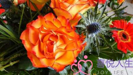 天气好心情好的短句子（心情很好的阳光句子）