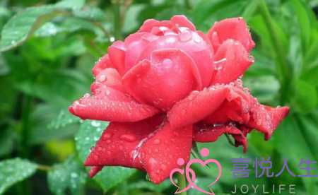 天气好心情好的短句子（心情很好的阳光句子）