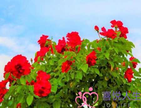 坚持21天不联系一个人，原来忍住一段时间不联系一个人