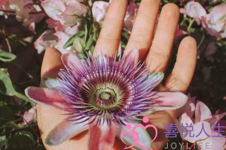 婆媳关系不好是哪个亏（为什么中国的婆媳关系难相处）