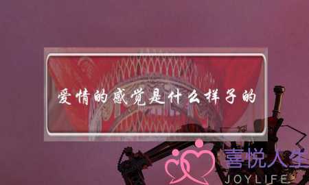 爱情的感觉是什么样子的? 爱情的感觉是什么样子的?