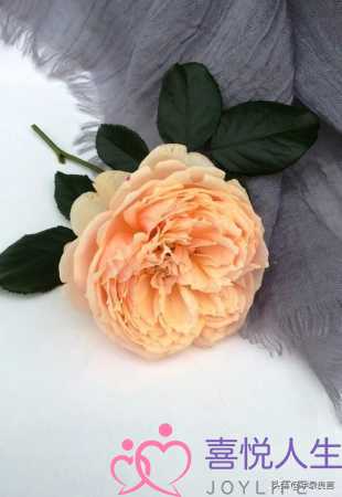 人总是会变的经典句子（每天读一遍人生会改变的句子）